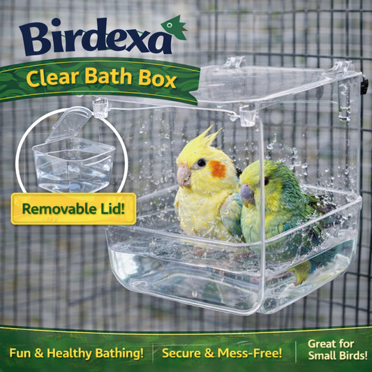 Birdexa Clear Bath Box