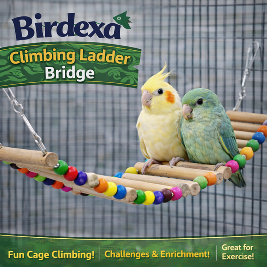 Birdexa Climbing Ladder Bridge
