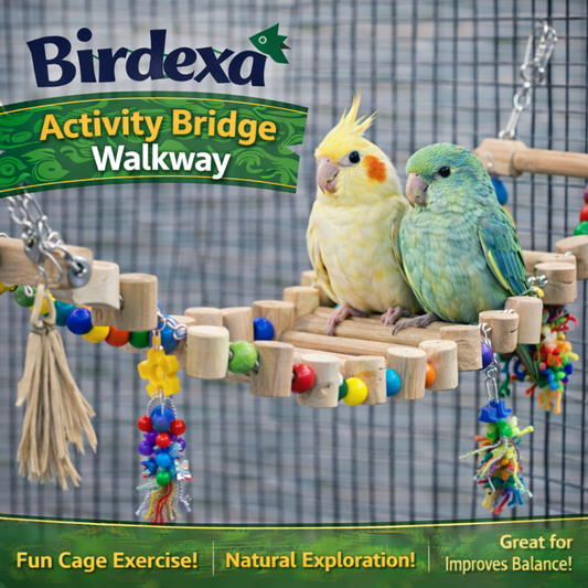 Birdexa Activity Bridge Walkway