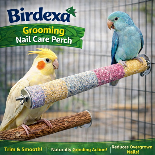 Birdexa Grooming Nail Care Perch