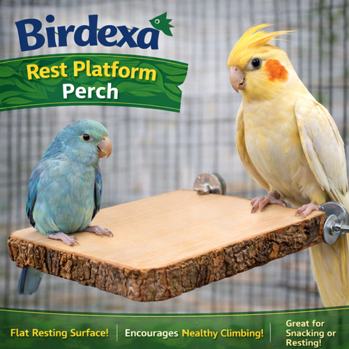 Birdexa Rest Platform Perch